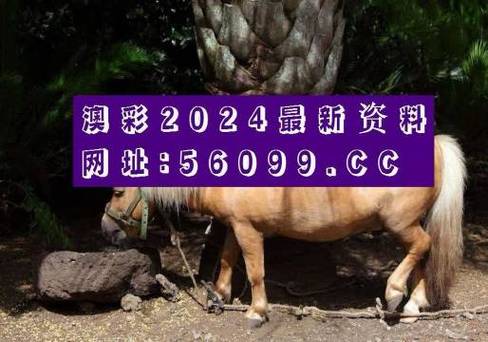 澳彩资料大全正版资料免费:广西宣布倒查十年