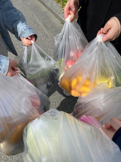 全网最准澳彩资料大全:上海老人去江苏买菜