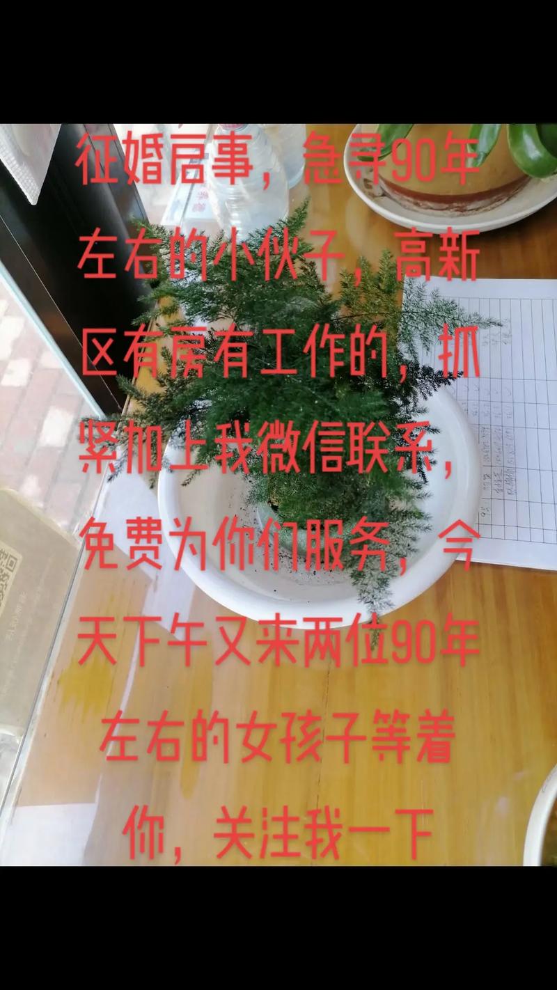 香港澳门研究生资料网站和征婚小伙1天加1千人与小伙子征婚